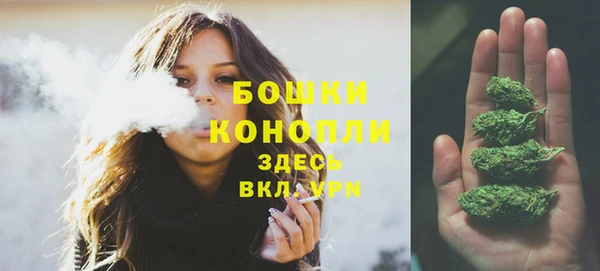 крисы Медногорск