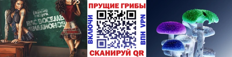 blacksprut зеркало  Разумное  Псилоцибиновые грибы MAGIC MUSHROOMS 